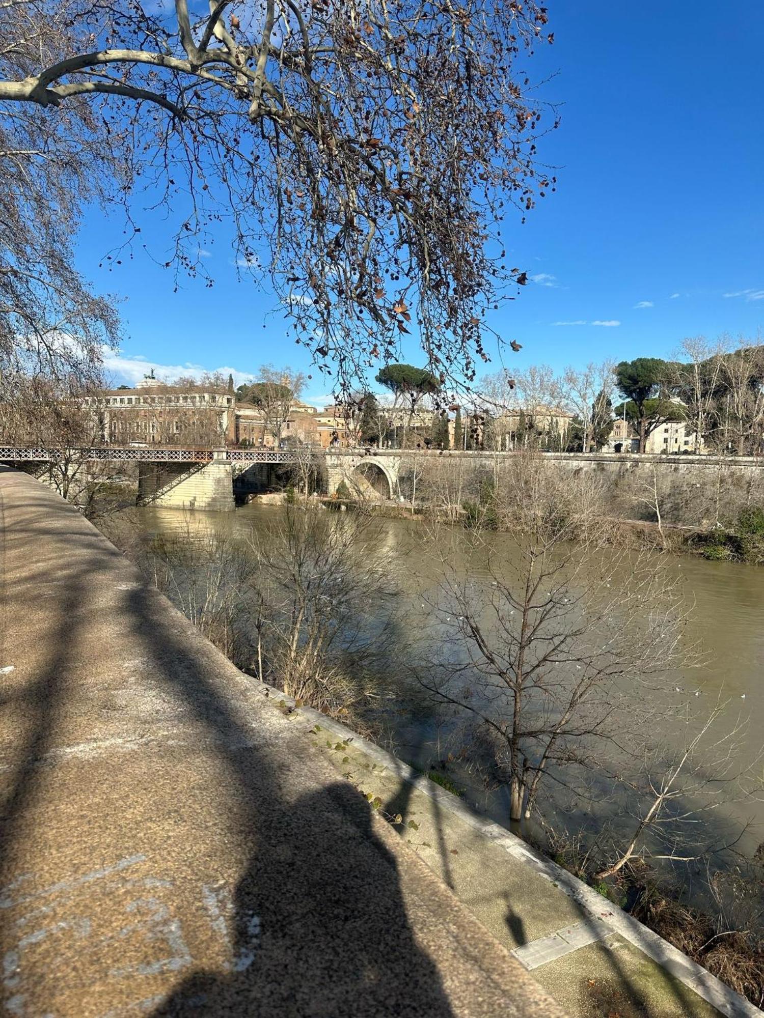 Trastevere Rome'S Heart Charming & Cozy Appartment 3 外观 照片